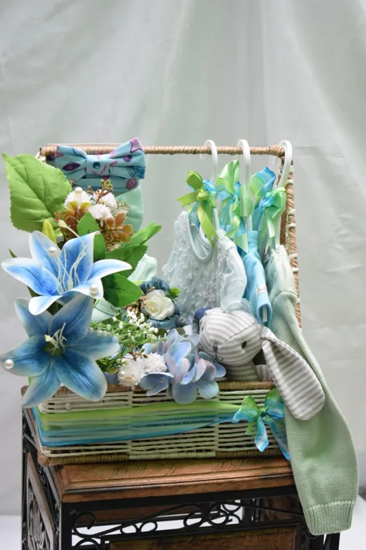 Blue Earth — baby gifting